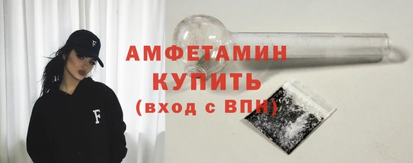 прущие грибы Няндома