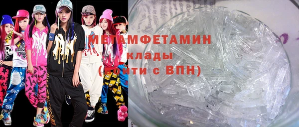 прущие грибы Няндома