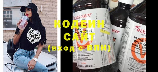 прущие грибы Няндома