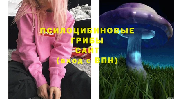 наркотики Новодвинск