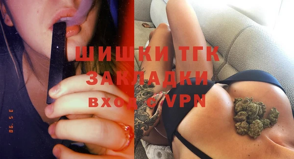 прущие грибы Няндома