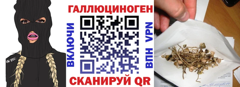 mega tor  Анжеро-Судженск  Галлюциногенные грибы Magic Shrooms 