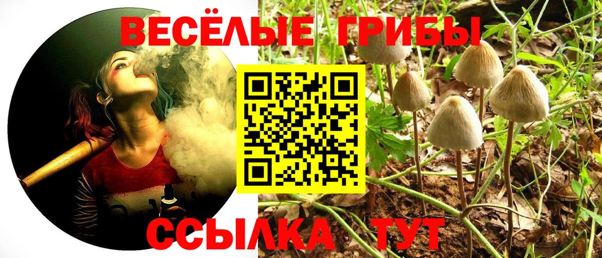 Анжеро-Судженск  Псилоцибиновые грибы MAGIC MUSHROOMS  Вход с VPN  Псилоцибиновые грибы Cubensis 