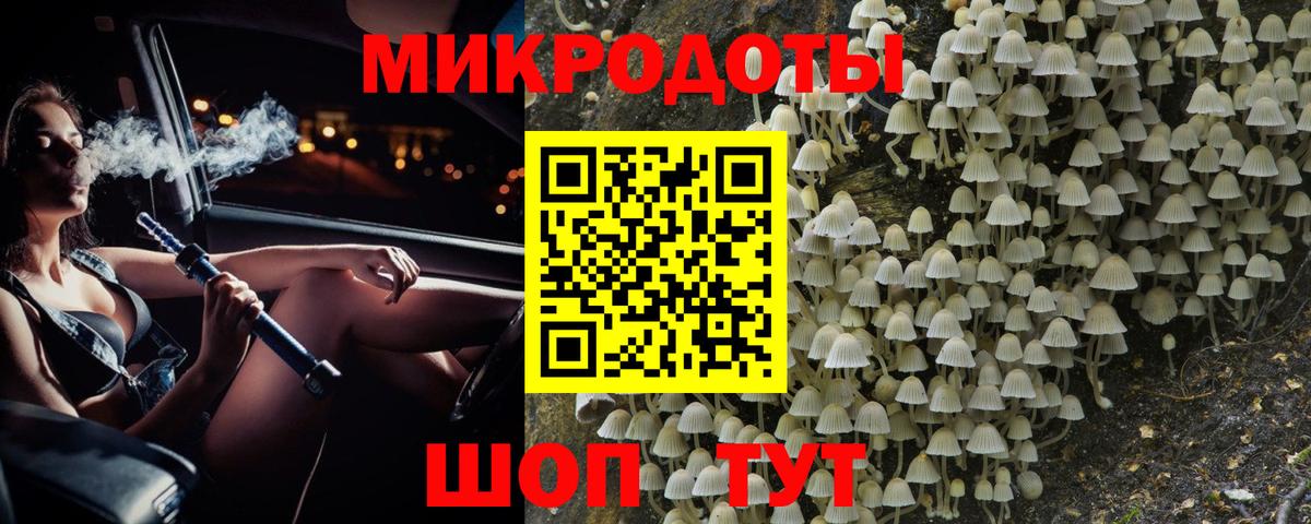 Псилоцибиновые грибы мицелий Анжеро-Судженск
