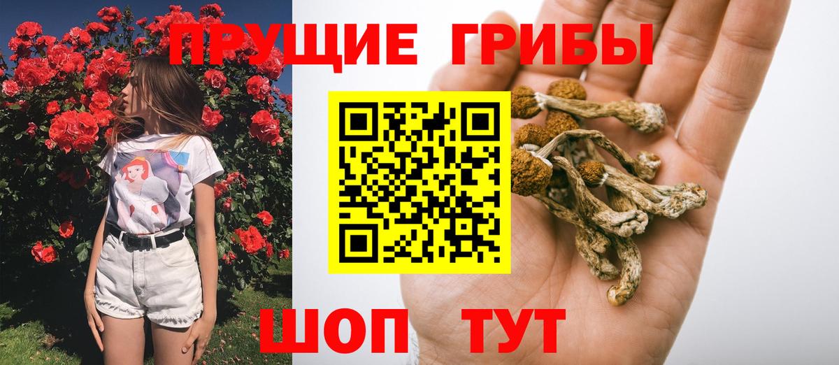 Псилоцибиновые грибы Cubensis  магазин  наркотиков  Анжеро-Судженск  Вход с VPN 